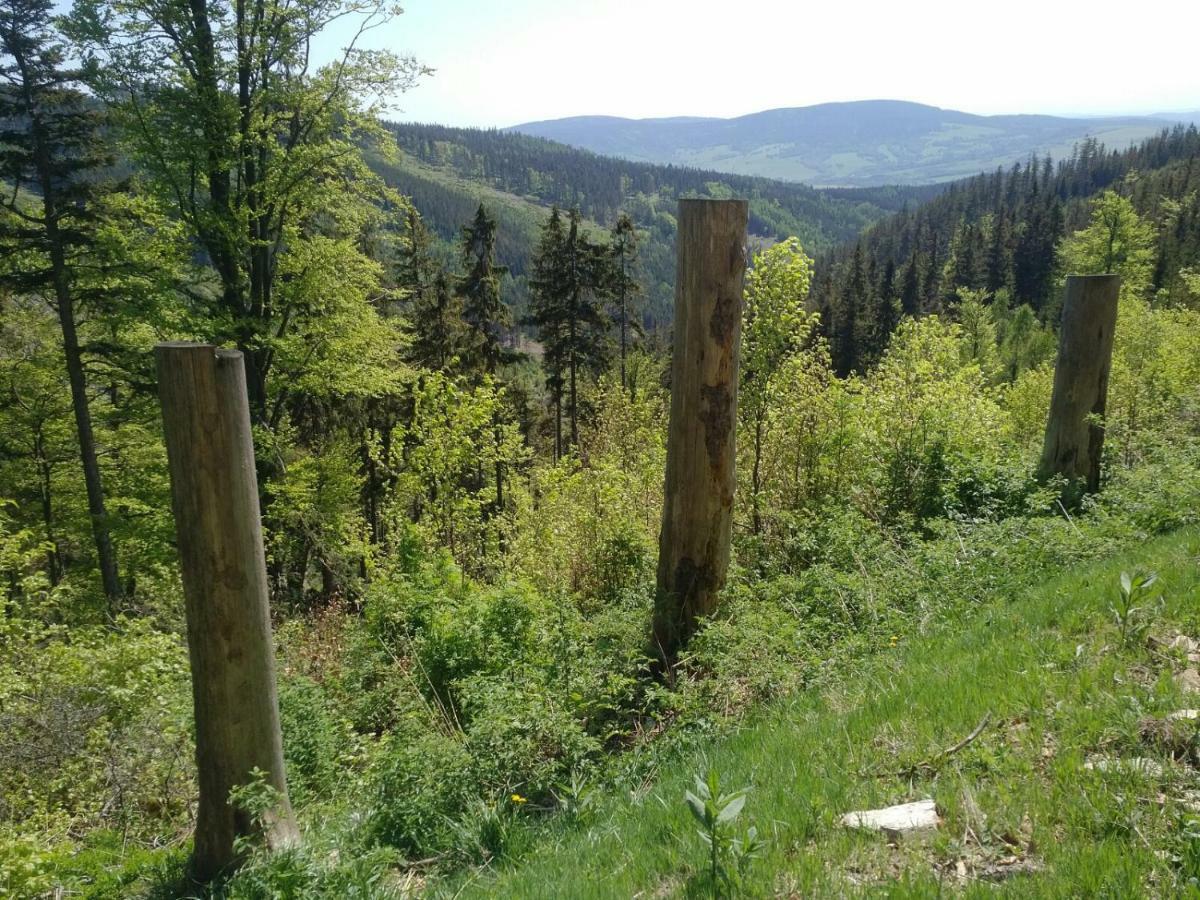 Apartmany Sport Dolní Morava Buitenkant foto